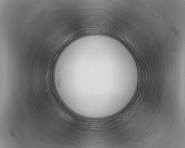 X0000113300264200909140951