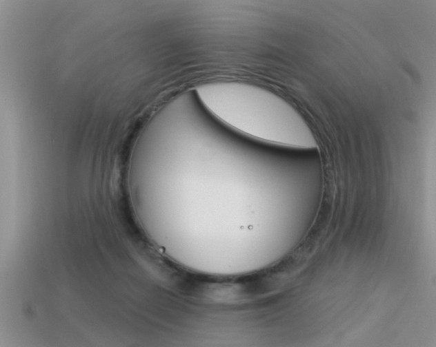 X0000113300266200909140951