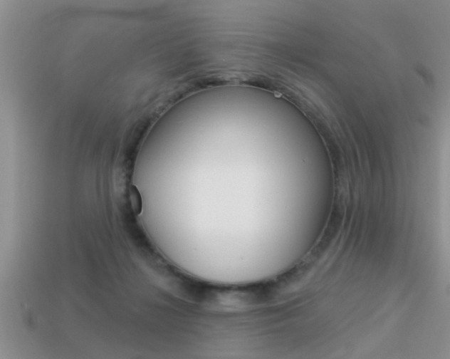 X0000113300268200909140951