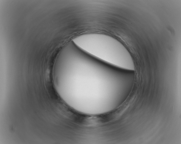 X0000113300269200909140951
