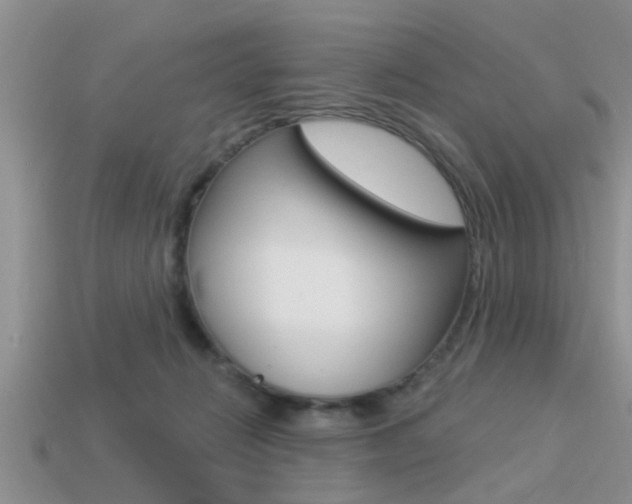 X0000113300270200909140951