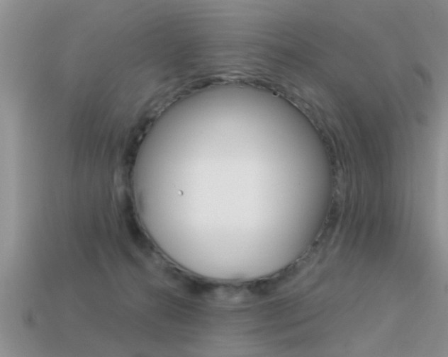 X0000113300272200909140951