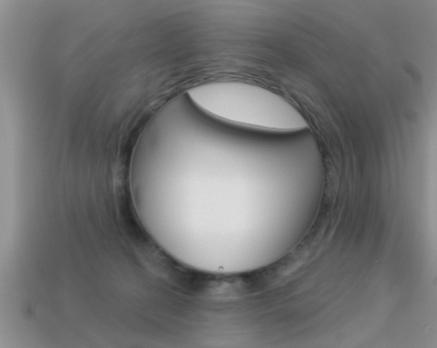 X0000113300274200909140951