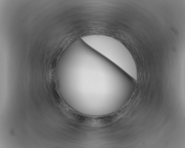 X0000113300276200909140951