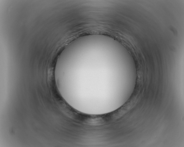 X0000113300278200909140951