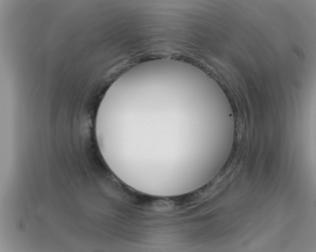 X0000113300279200909140951
