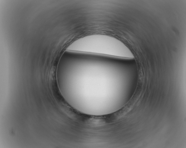 X0000113300280200909140951