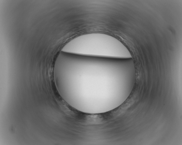X0000113300281200909140951