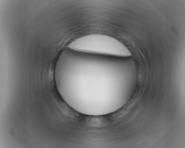 X0000113300282200909140951