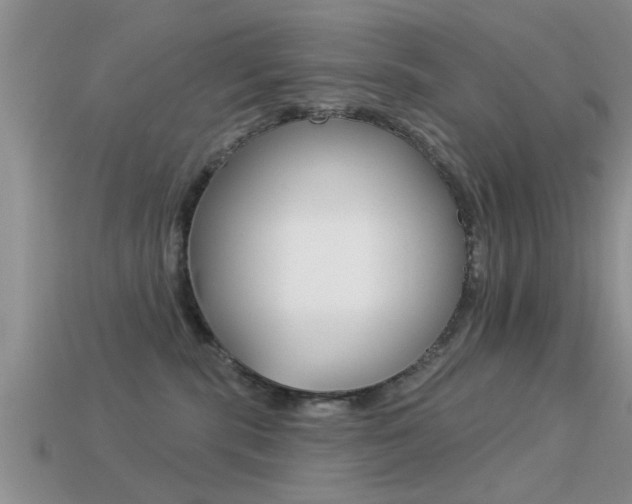 X0000113300283200909140951