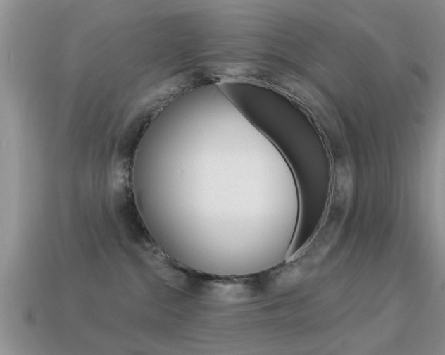 X0000113300284200909140951