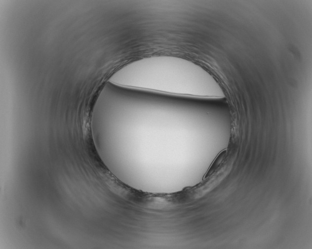 X0000113300285200909140951