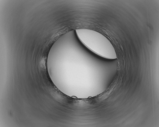 X0000113300286200909140951