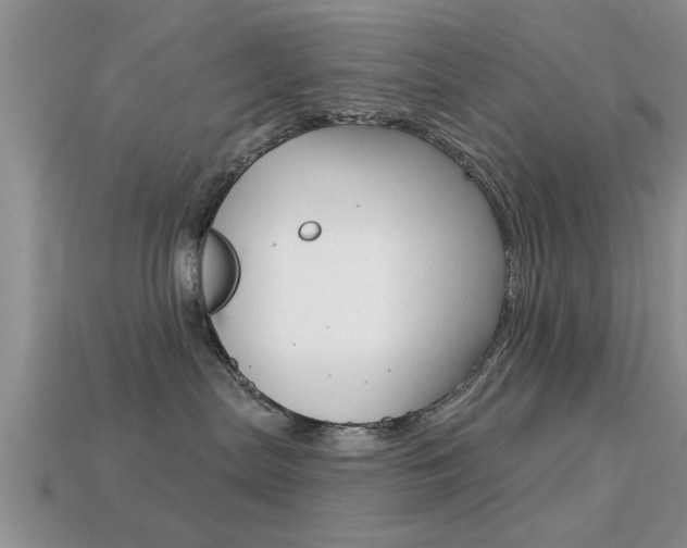 X0000113300287200909140951