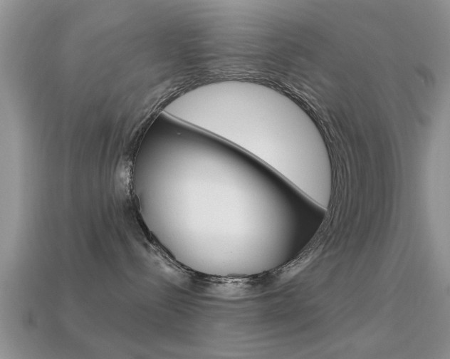 X0000113300288200909140951