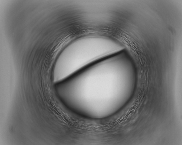 X0000113300289200909140951