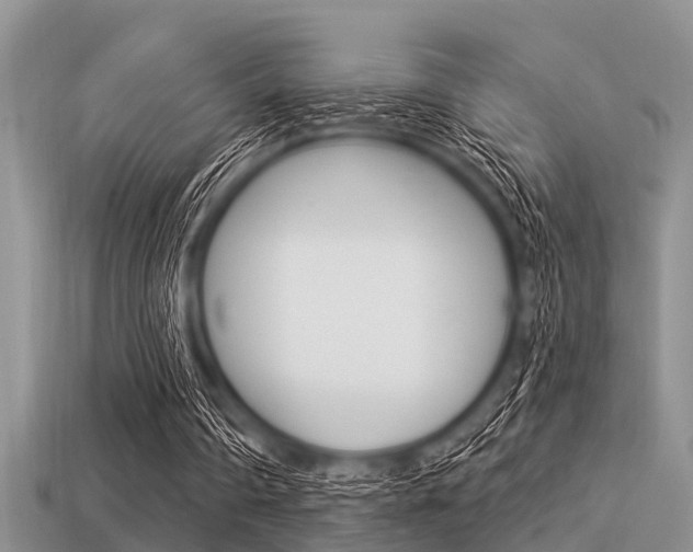 X0000113300290200909140951
