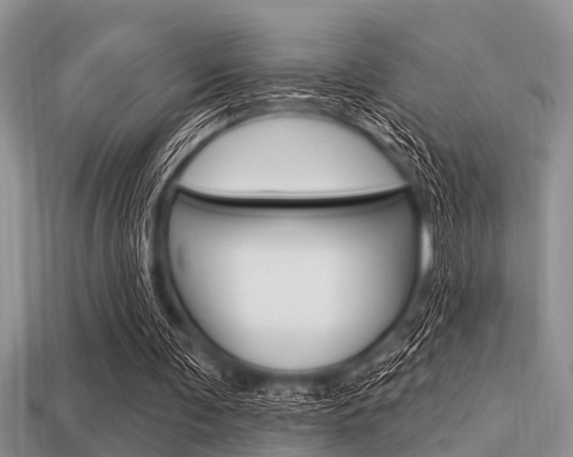 X0000113300291200909140951