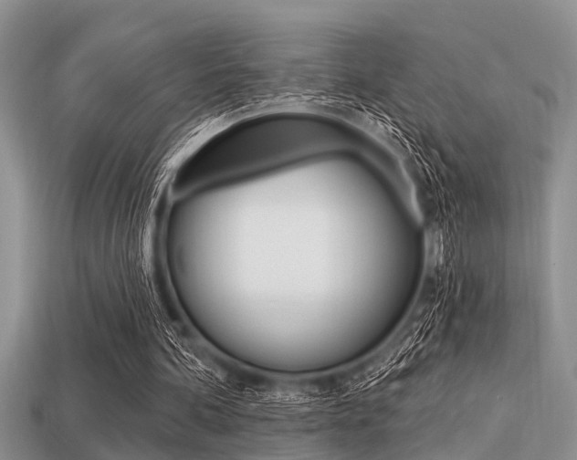 X0000113300292200909140951