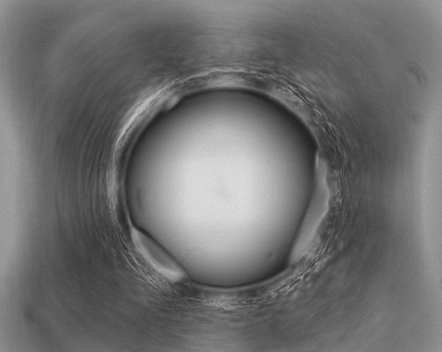 X0000113300293200909140951