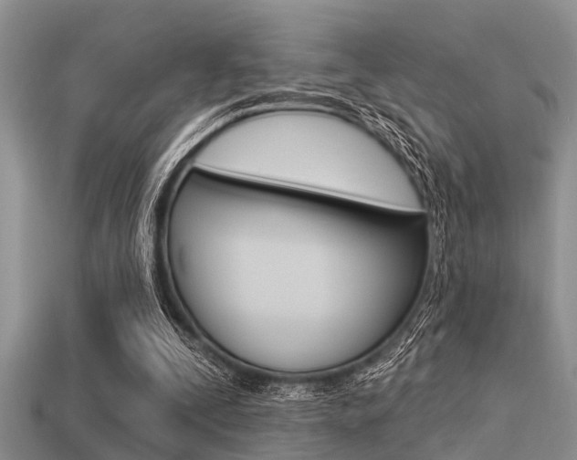 X0000113300295200909140951