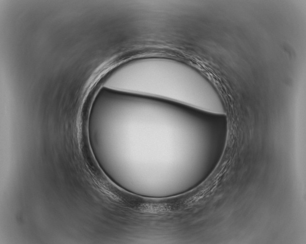 X0000113300296200909140951