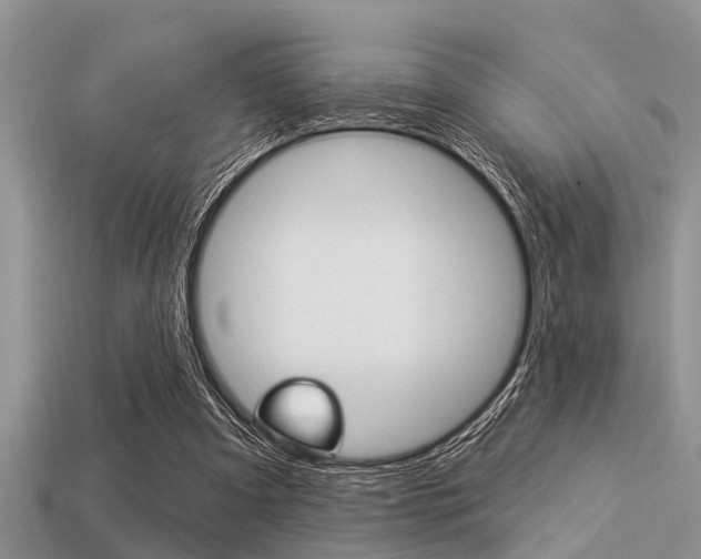 X0000113300297200909140951