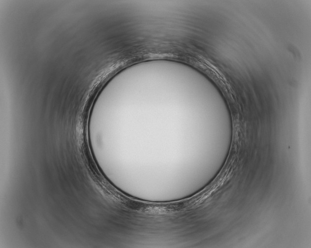 X0000113300298200909140951