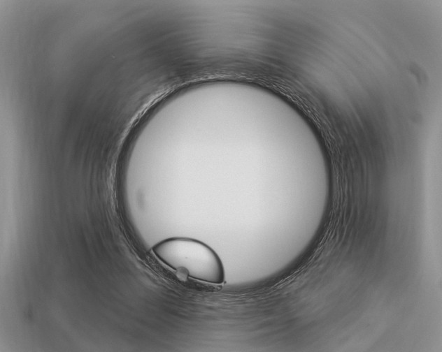 X0000113300300200909140951