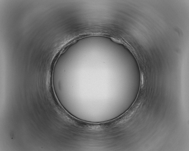 X0000113300301200909140950