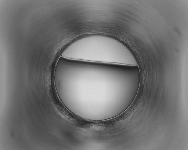 X0000113300303200909140950