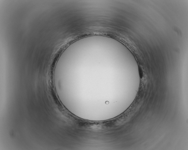 X0000113300306200909140950