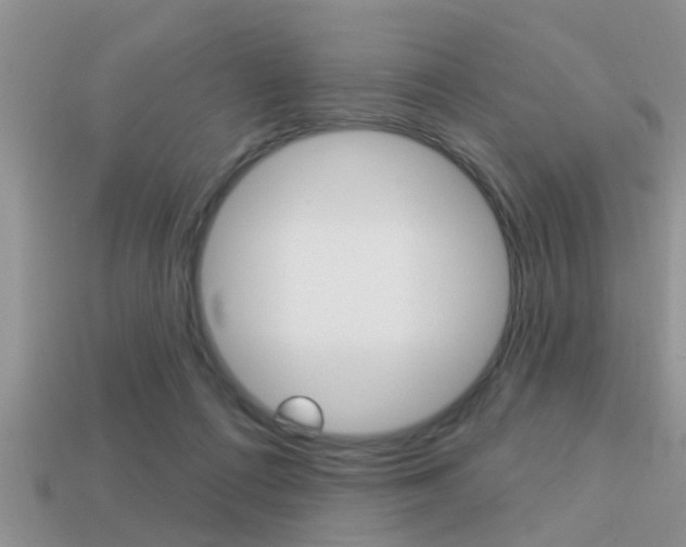 X0000113300312200909140950