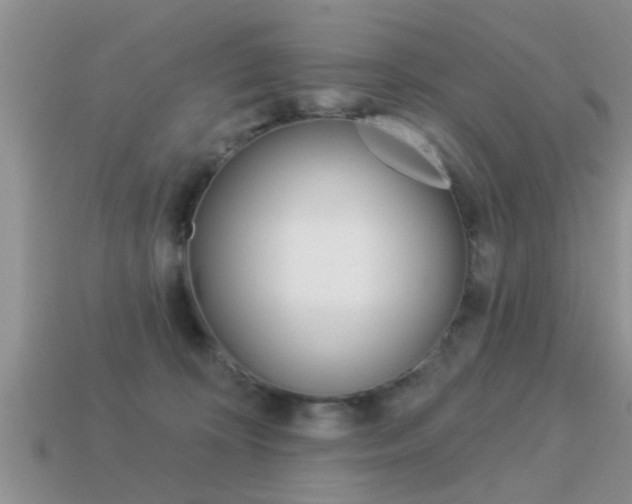 X0000113300324200909140950
