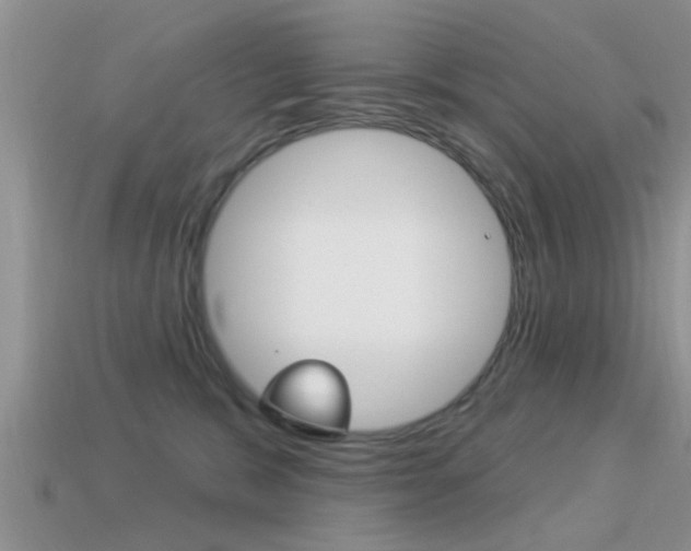X0000113300327200909140950