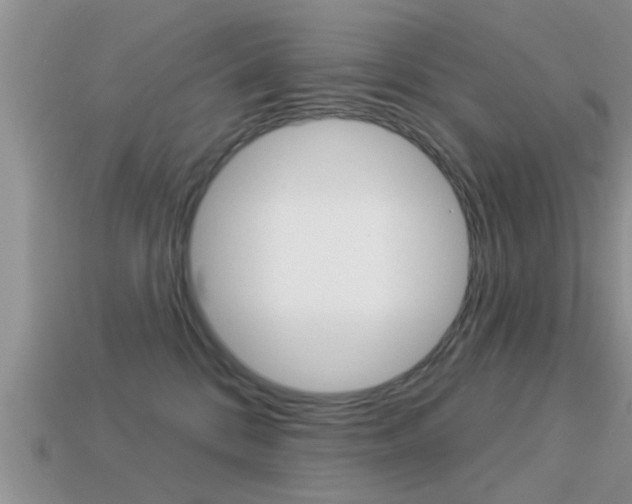 X0000113300328200909140950