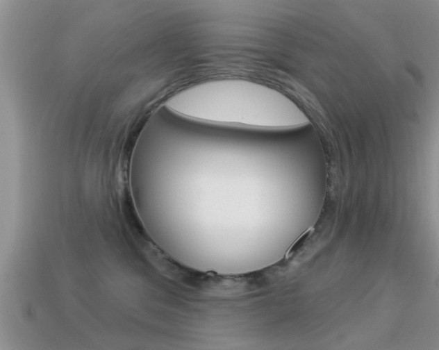 X0000113300329200909140950