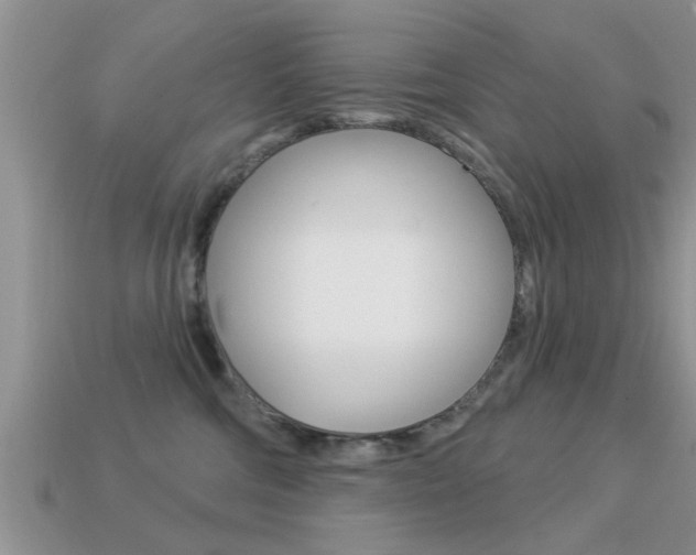 X0000113300330200909140950
