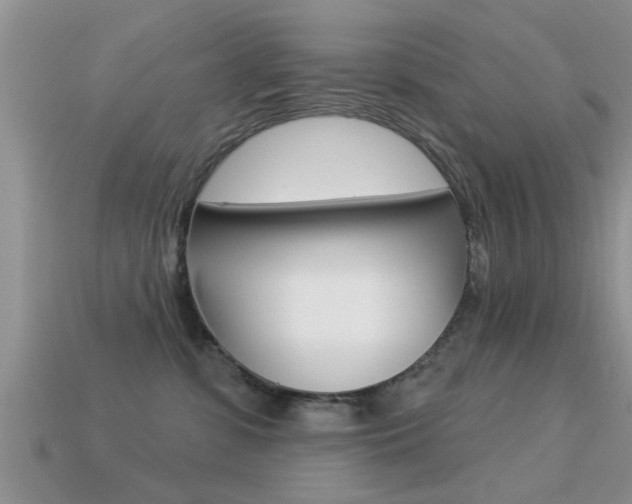 X0000113300331200909140950