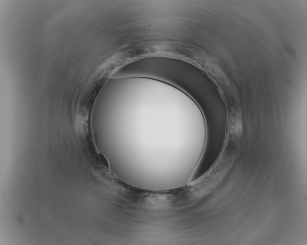 X0000113300332200909140950