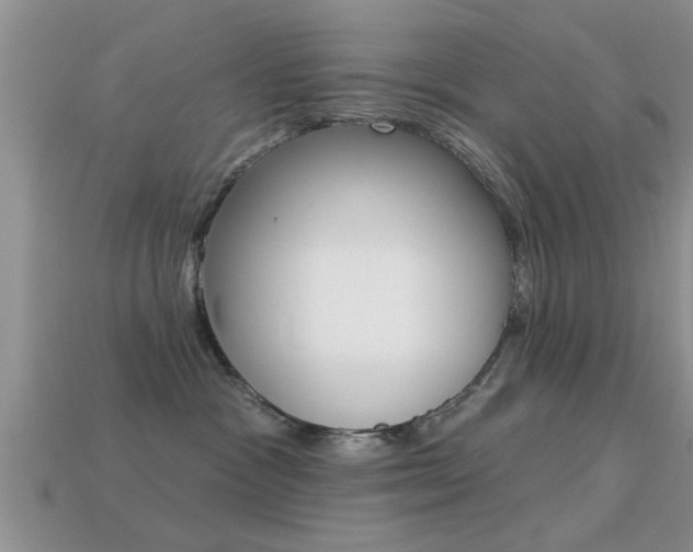 X0000113300333200909140950