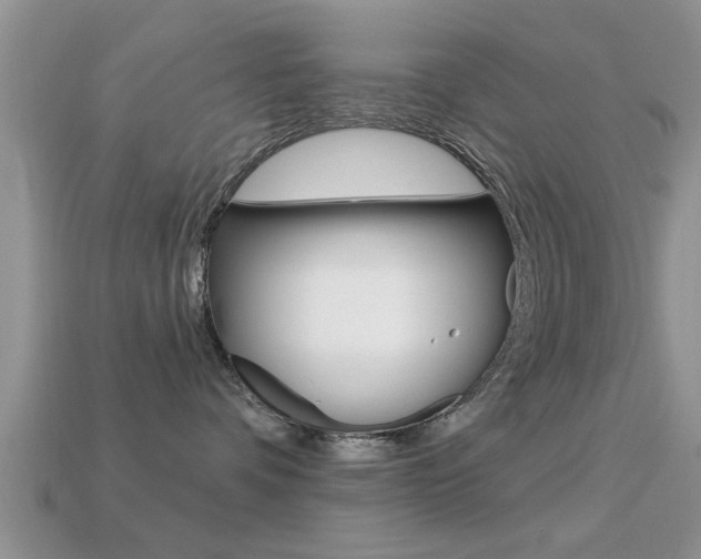 X0000113300336200909140950