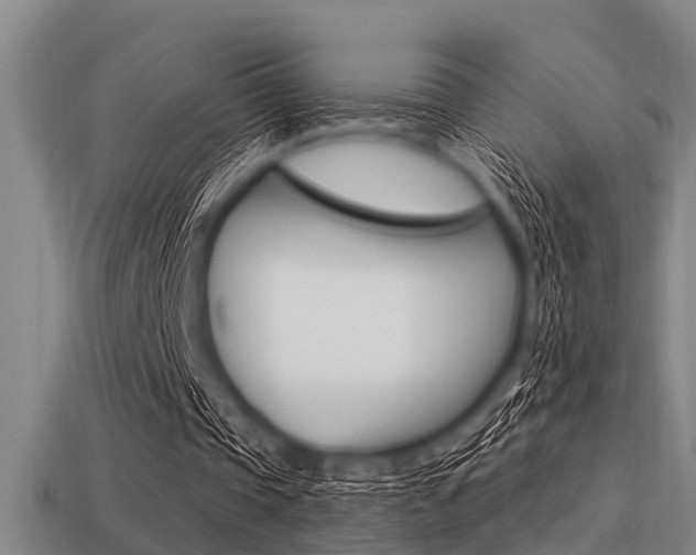 X0000113300337200909140949