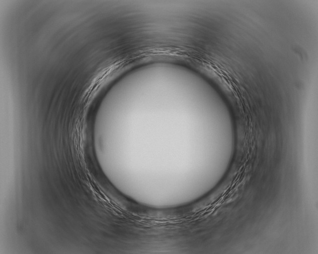 X0000113300338200909140949