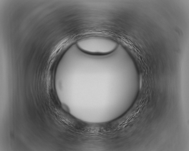 X0000113300339200909140949