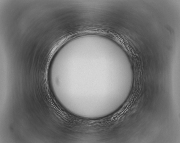 X0000113300340200909140949