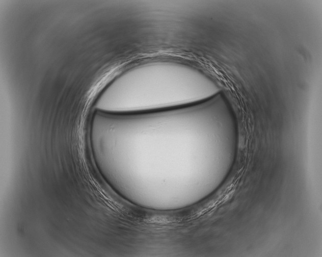 X0000113300341200909140949