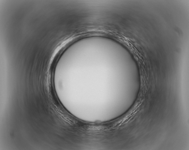 X0000113300342200909140949