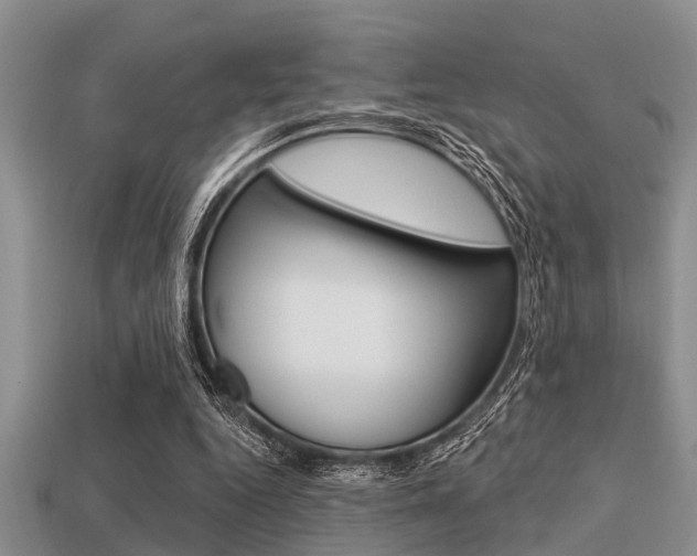 X0000113300344200909140950