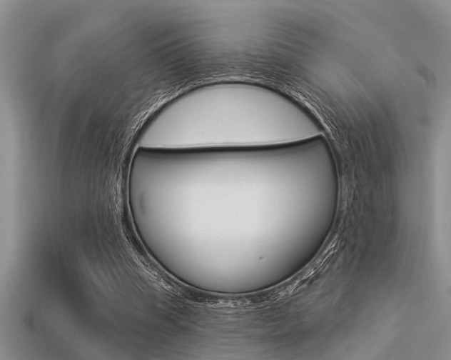 X0000113300345200909140950